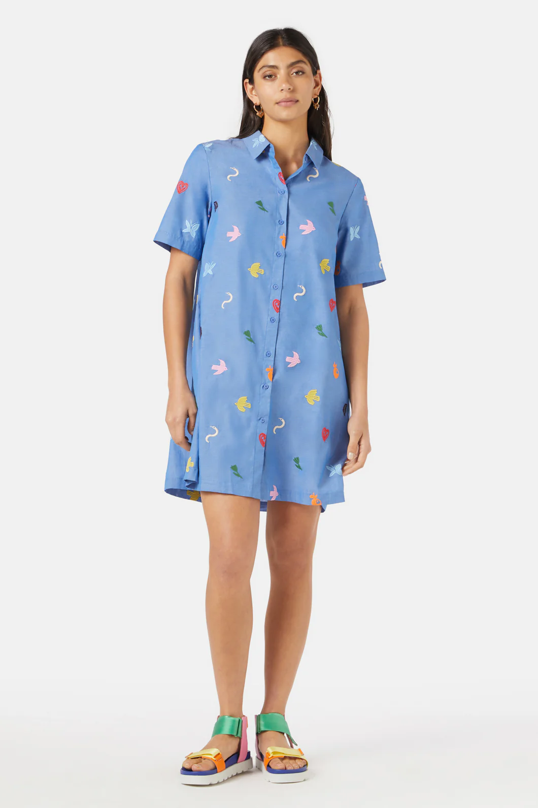Birds And Flowers Embroidered Dress