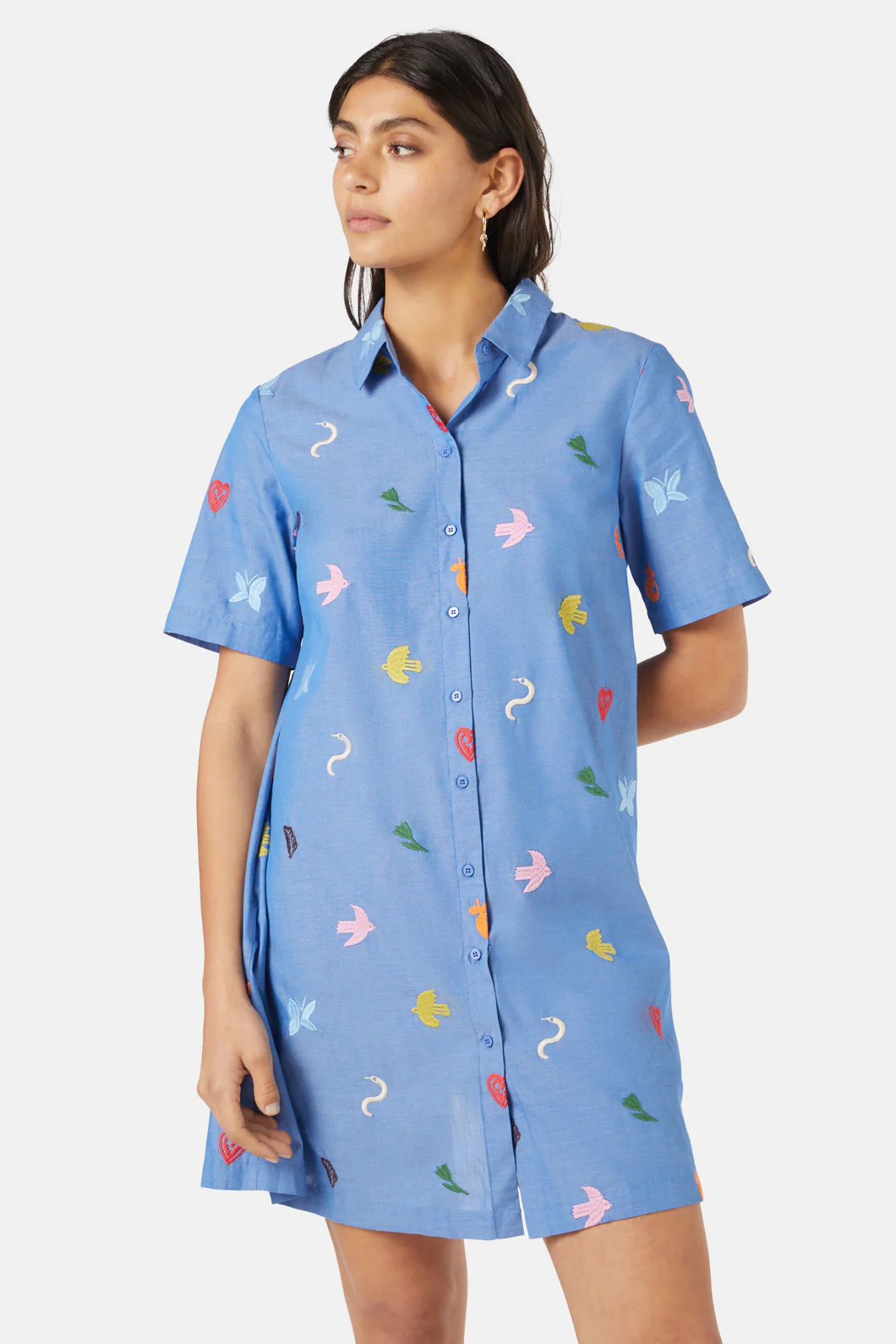 Birds And Flowers Embroidered Dress - Image 3