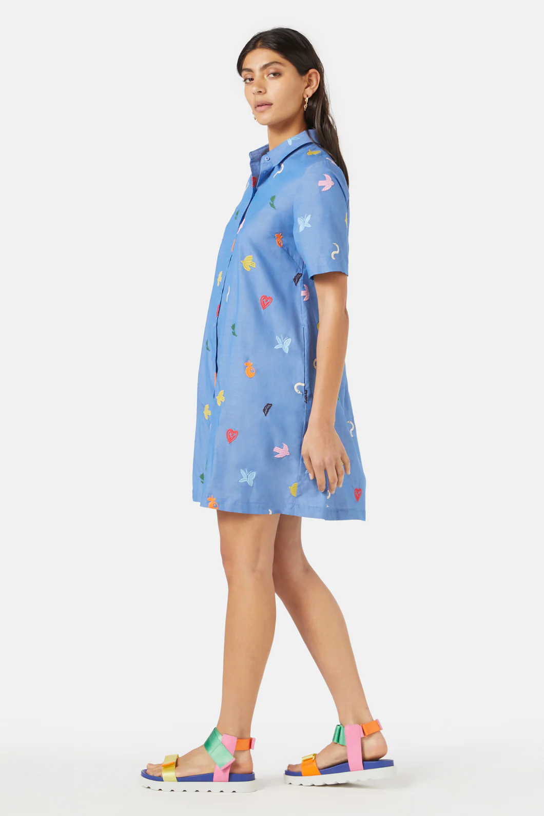 Birds And Flowers Embroidered Dress - Image 4