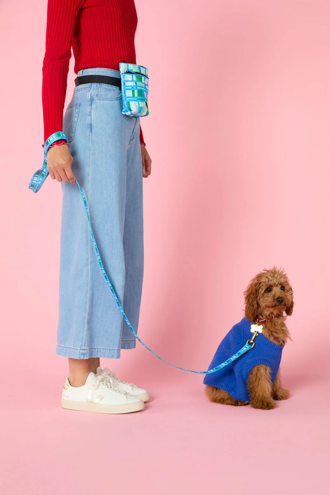 Heart Felt Knit Dog Jumper - Blue - Image 4