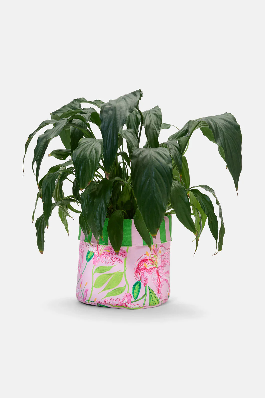 Pop Lily Planter Lge - Image 3