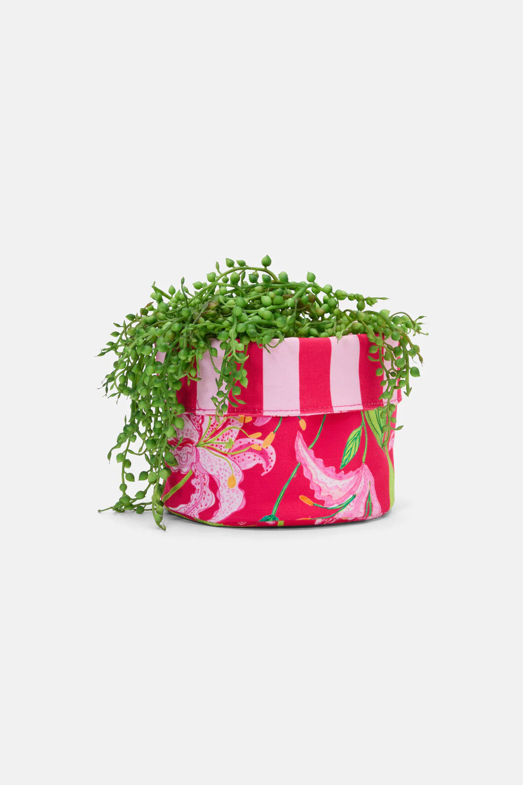 Pop Lily Planter Sml - Image 3